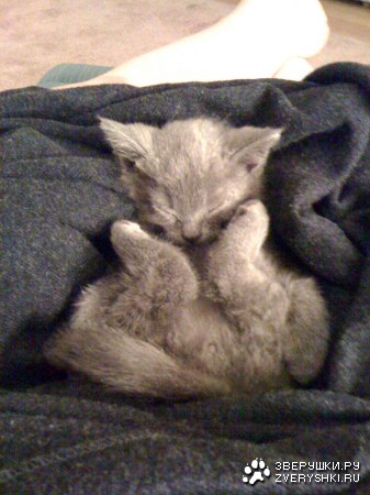 ������� :)