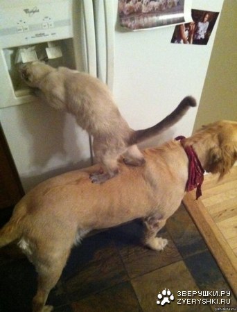 ������������ ;)