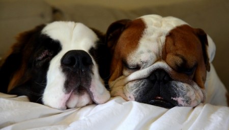 ������ ������ :)