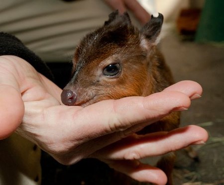 ������������� ������� ����������� �������� (6 ����)