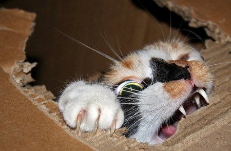 ����� ��������� ;)