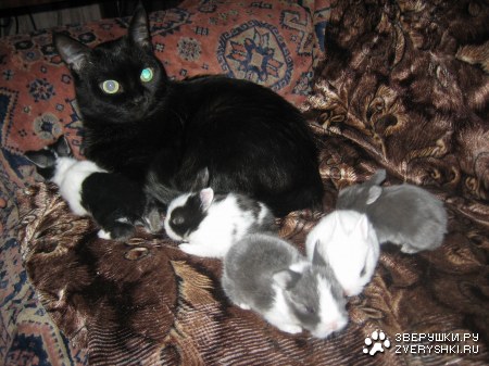 ���� ��������� :)