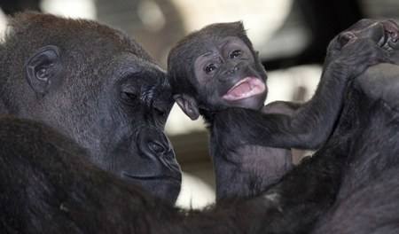 ��������� ������� ���� :)