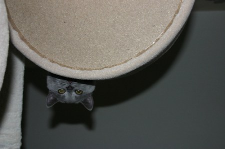 ��������� ;)