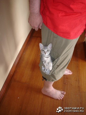 ������ ������ :)