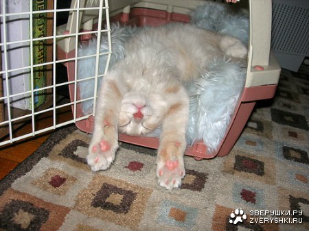 �������� ��� ����������! ;)