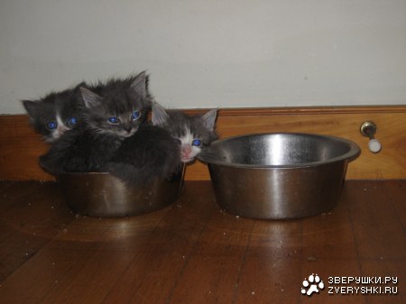 � ��� ��� ��������� ;)