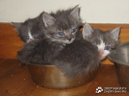 � ��� ��� ��������� ;)