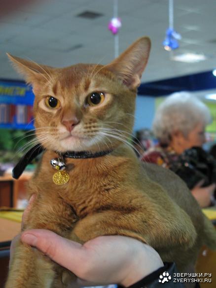 �������� �������� �����! (25 ����)