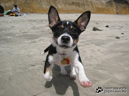 � ������ ���� �����! :)