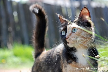 ������ �������!