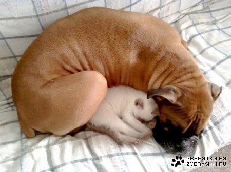 ������� ;)