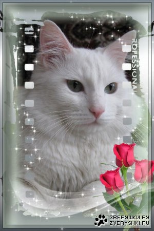 �� � ��������������!