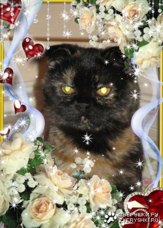 �� � ��������������!