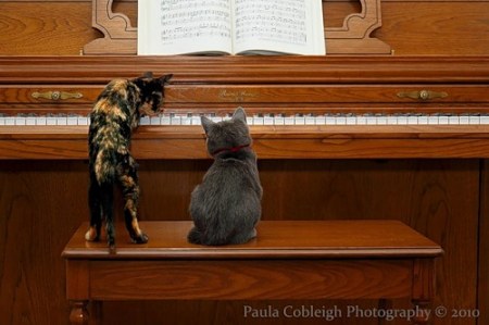 �������, ������? ;)