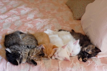 �������� ����� ;)