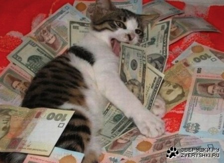 ��� �� ��! ;)