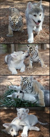 ��� ����� ��� ������ :)