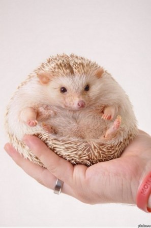 ����-��������� ;)