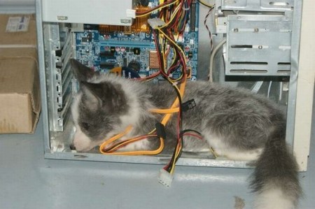 ����� �������� � ����� ���� (31 ����)