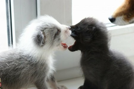 ����� �������� � ����� ���� (31 ����)