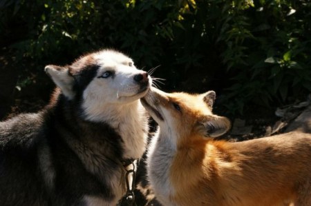 ����� �������� � ����� ���� (31 ����)