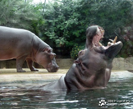 �������� ��� �������!