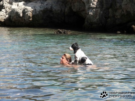 �� ���������! :)