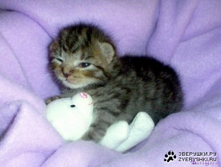 ��������� :)