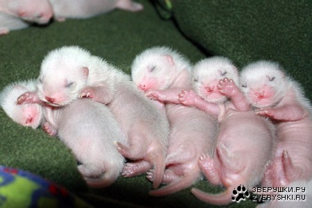 ��������� :)