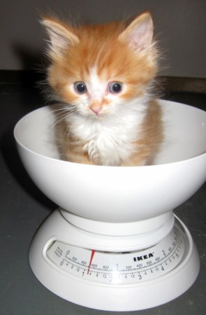 � ������� �� � ������� ����?! ;)