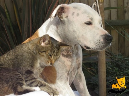 ��� ����� �� ������!