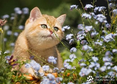 �������� ��� ��������! :)