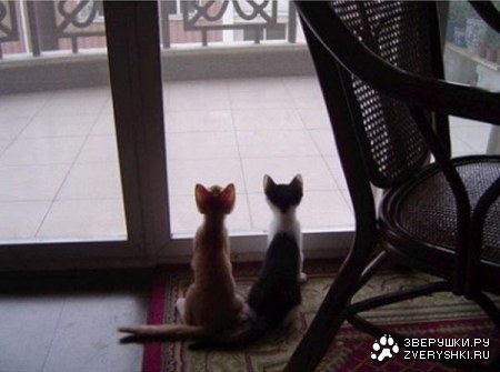 � ��������... :)