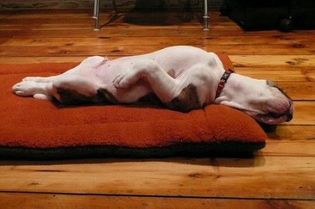 � ������ ������ ;)