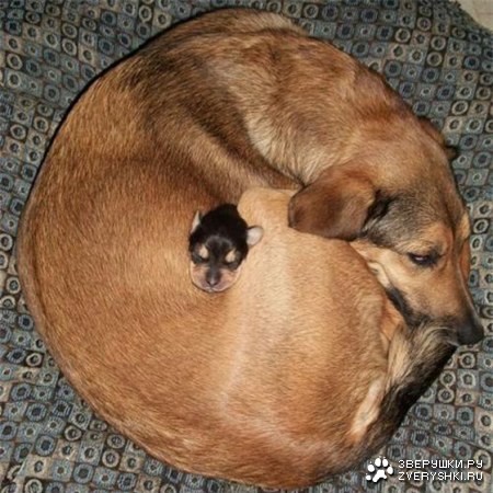 � ���������, ��� ����� ����� �� ���� ;)