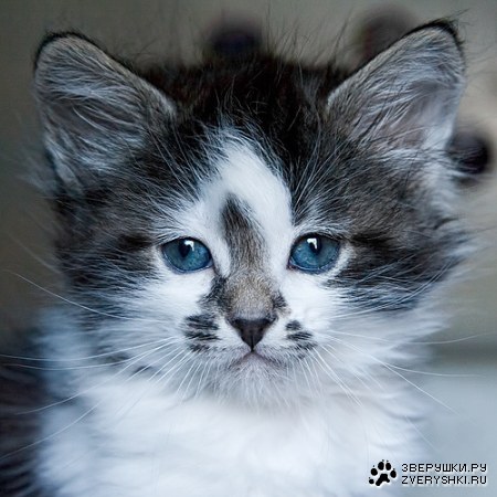 ��������� ������ :)