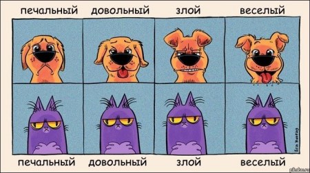 ������ ����� � ����� :)