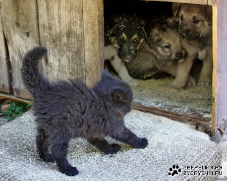 ��� ���� ������ ������? ;)