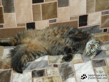 ������� :)