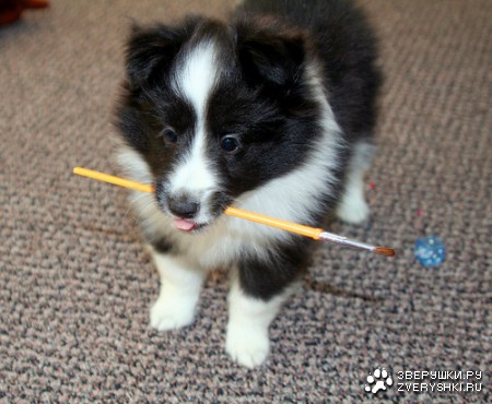 ��������� ��� �������! ;)