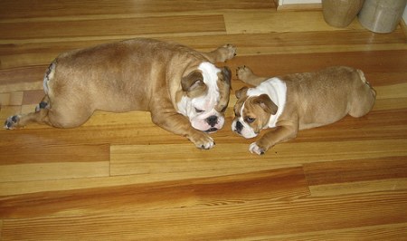 ������... :)