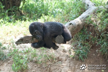 ������� ;)