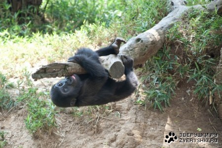 ������� ;)