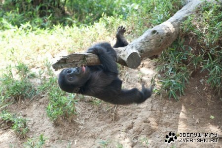 ������� ;)