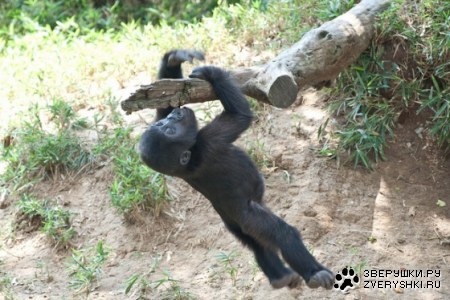 ������� ;)