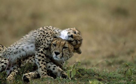 ��������� :)