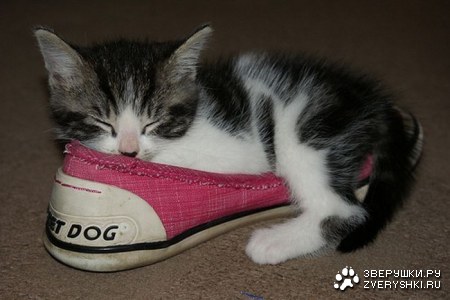 ���������� ������ (15 ����)