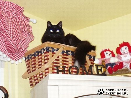 ���������� ������ (15 ����)