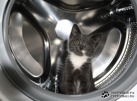 ���������� ������ (15 ����)